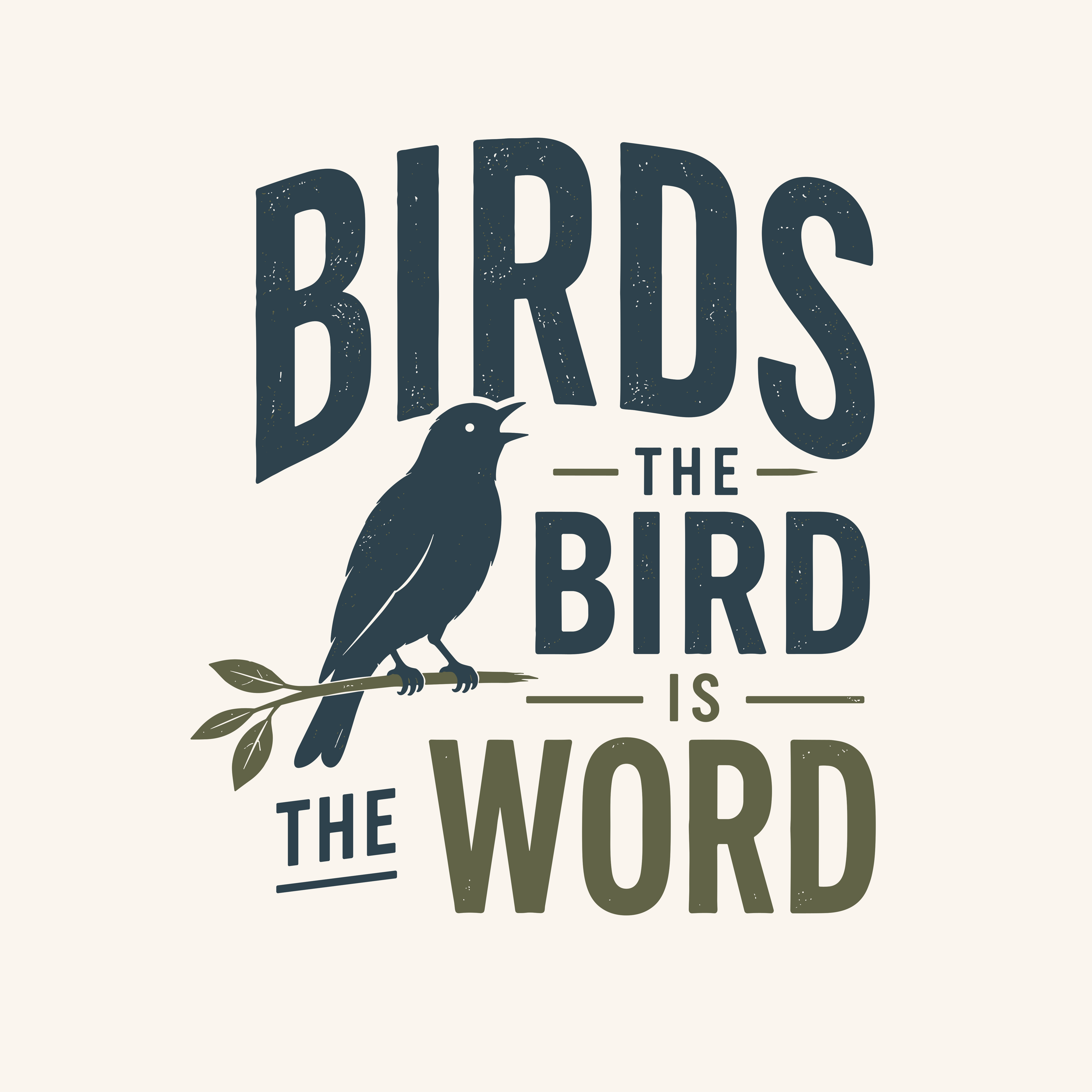 Birds