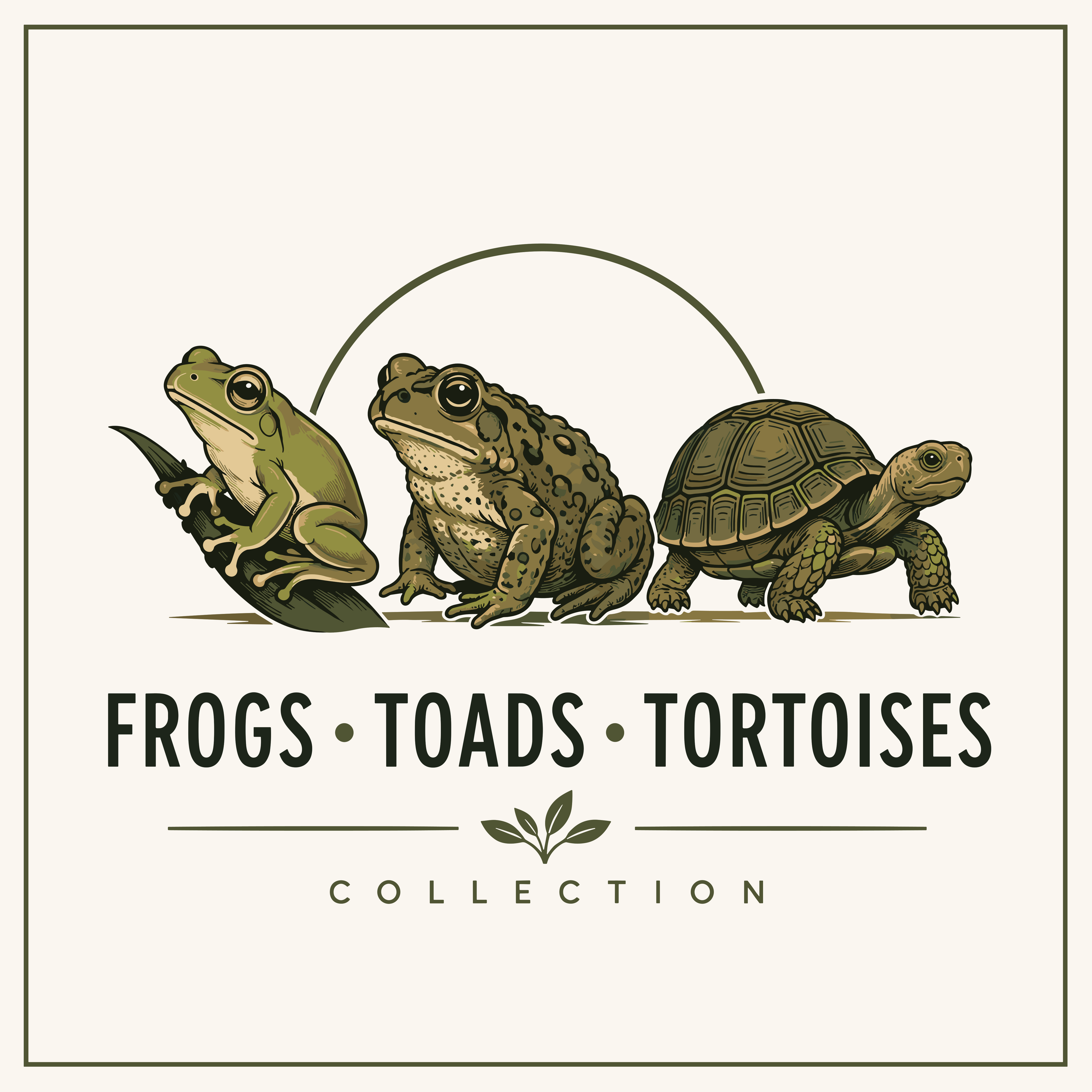 Frogs, Toads, Tortoises